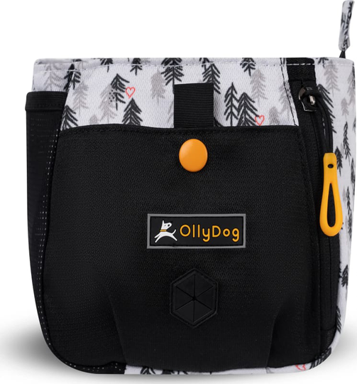 Backcountry Day Bag