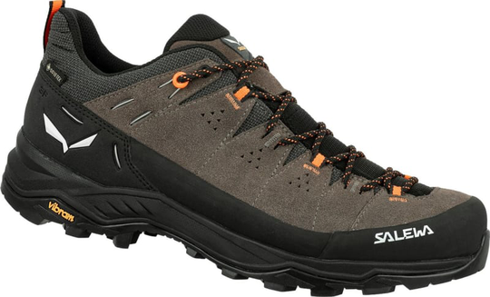 Men's Alp Trainer 2 Gore-Tex