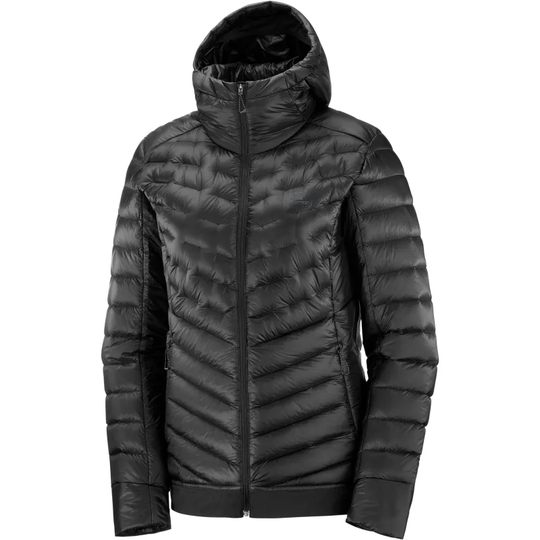 Women's Outline Down Hoodie