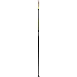 Swix Quantum 2 Skidstav