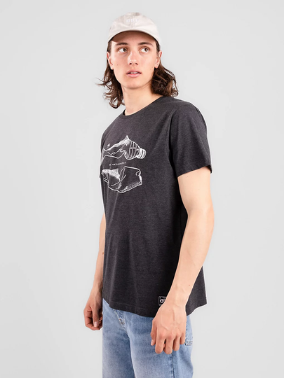 Picture CC Bottlefish T-Shirt dark grey melange