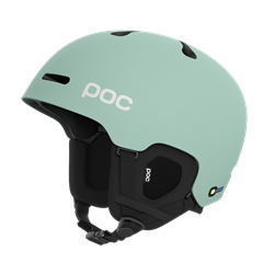 Poc Fornix Mips