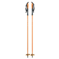 Åsnes Cecilie Bc Pole