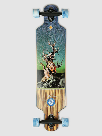Sector 9 Basin Bintang Complete uni